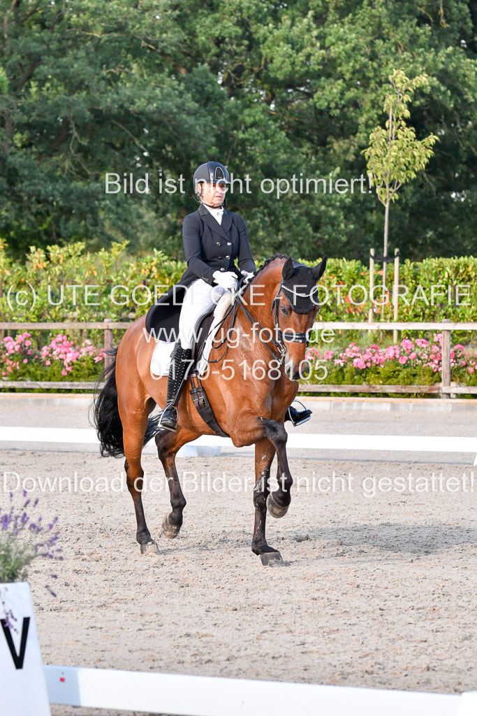 Klein Offenseth Dressur  1.8.2021 | 01082021 Dressur  KL S +_505 
