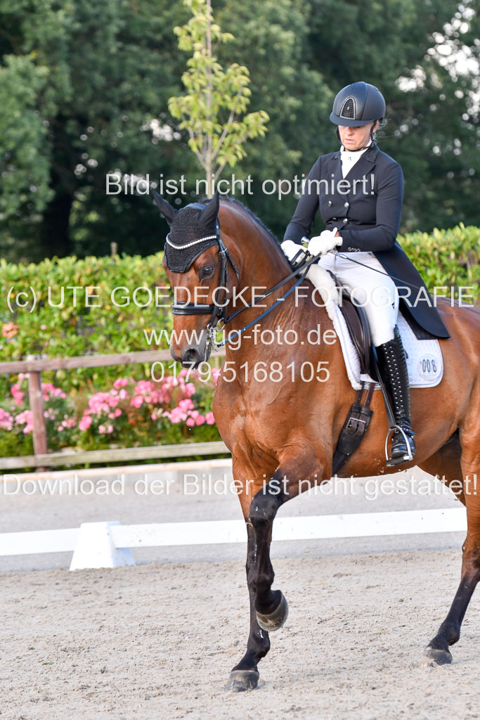 Klein Offenseth Dressur  1.8.2021 | 01082021 Dressur  KL S +_509 