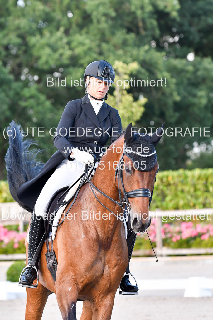 Klein Offenseth Dressur  1.8.2021 | 01082021 Dressur  KL S +_511 