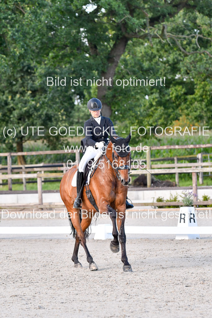 Klein Offenseth Dressur  1.8.2021 | 01082021 Dressur  KL S +_514 