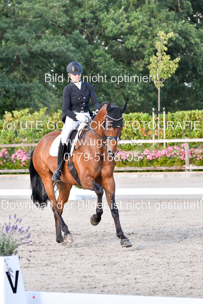 Klein Offenseth Dressur  1.8.2021 | 01082021 Dressur  KL S +_516 