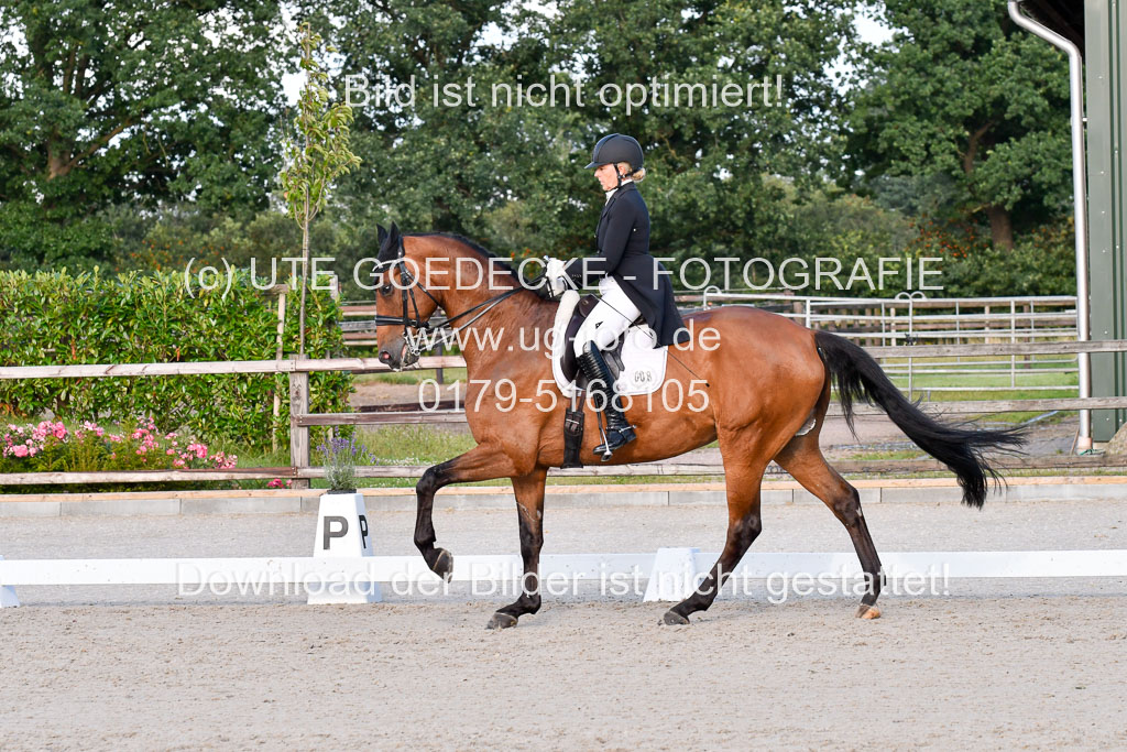 Klein Offenseth Dressur  1.8.2021 | 01082021 Dressur  KL S +_517 