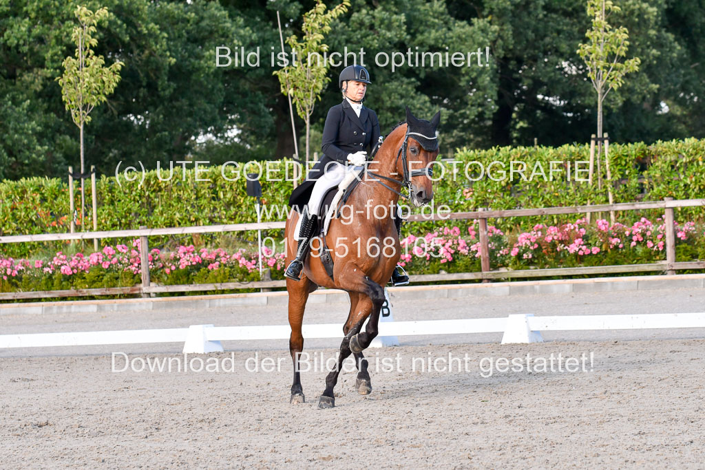 Klein Offenseth Dressur  1.8.2021 | 01082021 Dressur  KL S +_521 