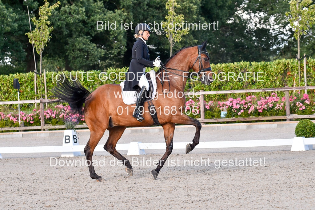 Klein Offenseth Dressur  1.8.2021 | 01082021 Dressur  KL S +_522 
