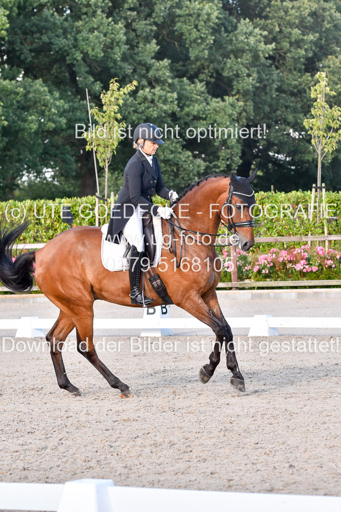 Klein Offenseth Dressur  1.8.2021 | 01082021 Dressur  KL S +_526 