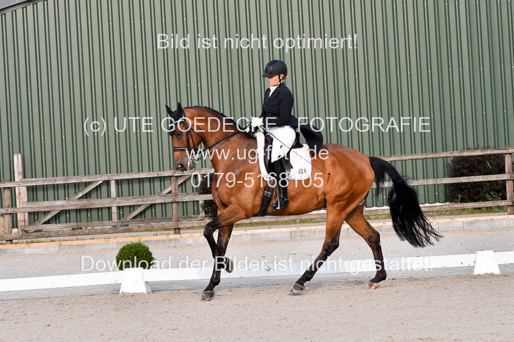 Klein Offenseth Dressur  1.8.2021 | 01082021 Dressur  KL S +_527 