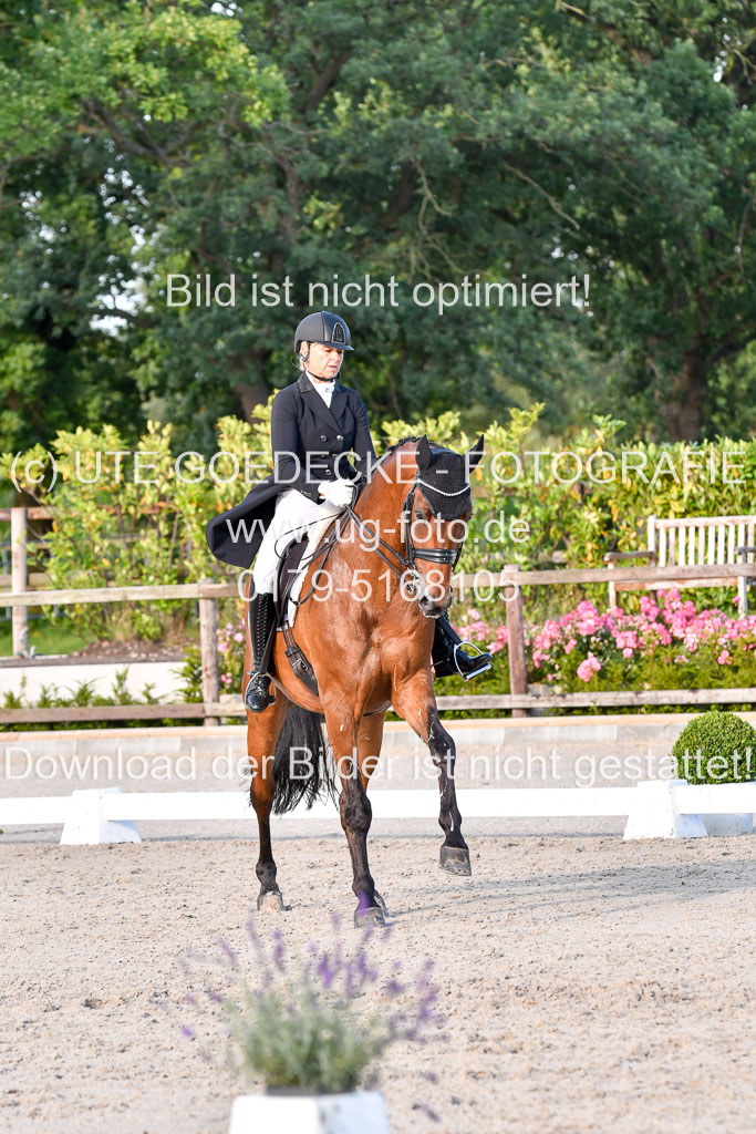 Klein Offenseth Dressur  1.8.2021 | 01082021 Dressur  KL S +_528 