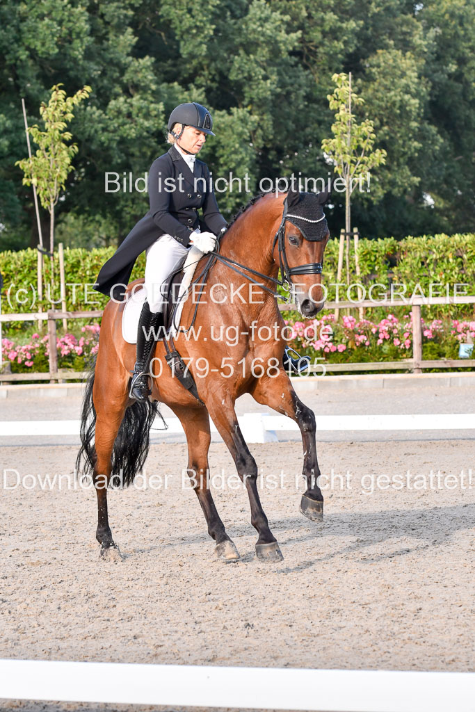 Klein Offenseth Dressur  1.8.2021 | 01082021 Dressur  KL S +_530 
