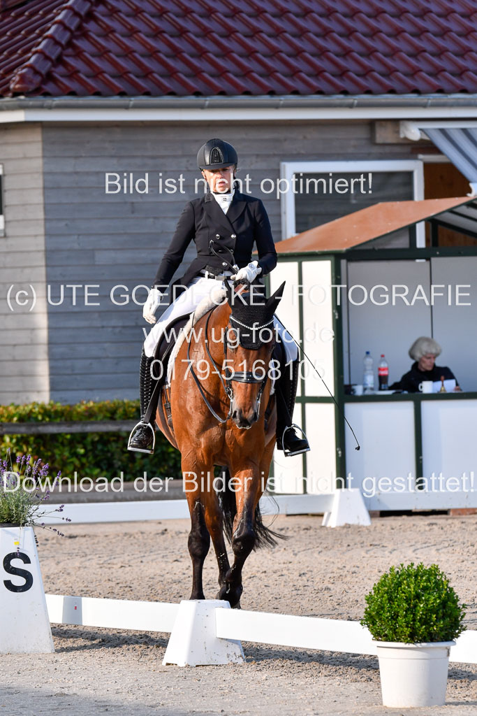 Klein Offenseth Dressur  1.8.2021 | 01082021 Dressur  KL S +_531 
