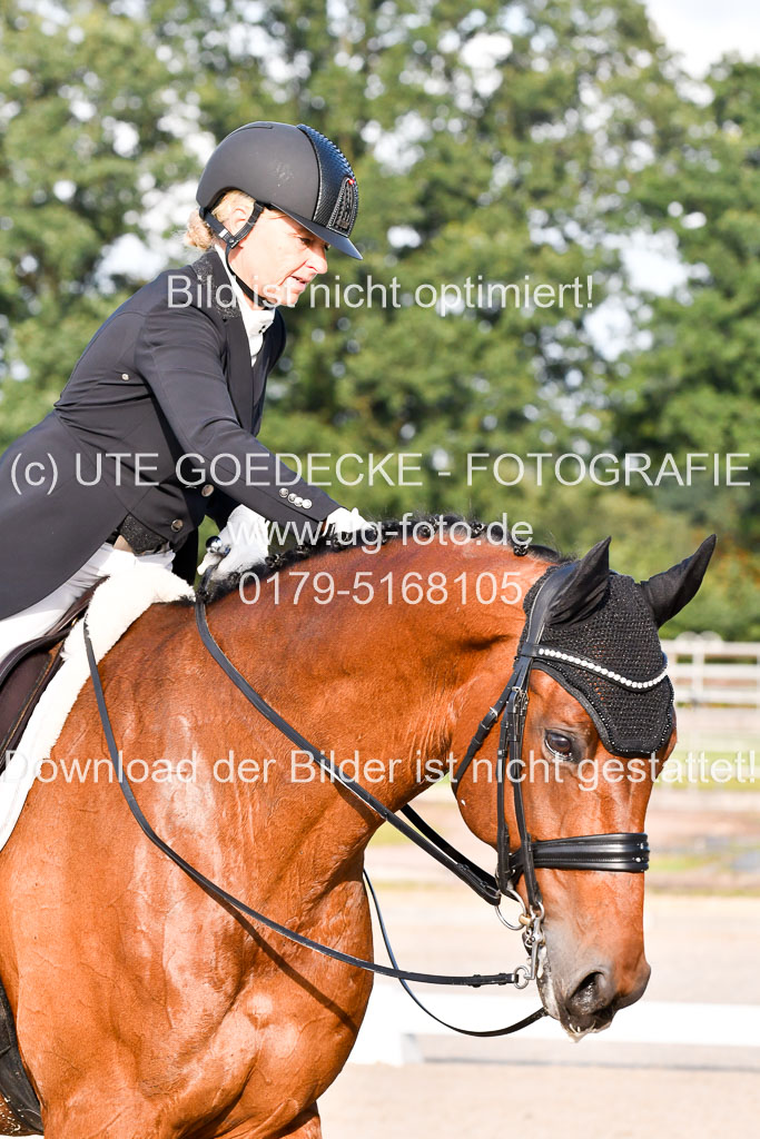 Klein Offenseth Dressur  1.8.2021 | 01082021 Dressur  KL S +_537 