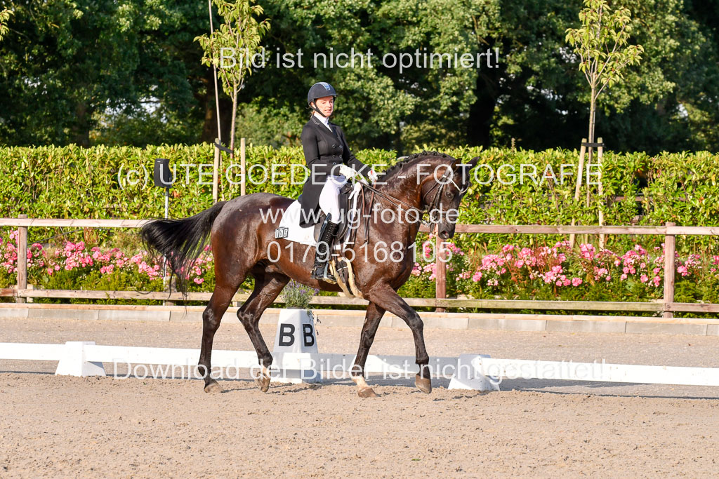 Klein Offenseth Dressur  1.8.2021 | 01082021 Dressur  KL S +_538 