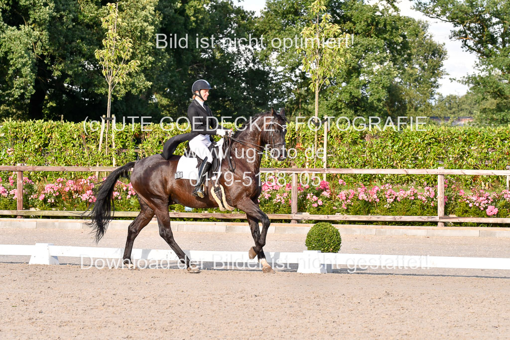 Klein Offenseth Dressur  1.8.2021 | 01082021 Dressur  KL S +_539 