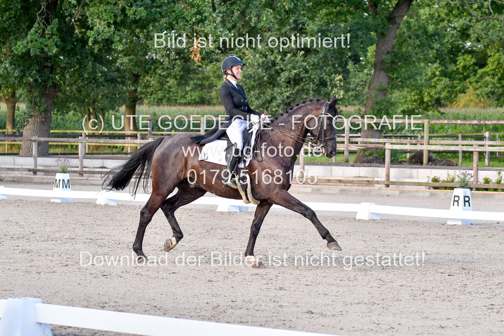 Klein Offenseth Dressur  1.8.2021 | 01082021 Dressur  KL S +_543 