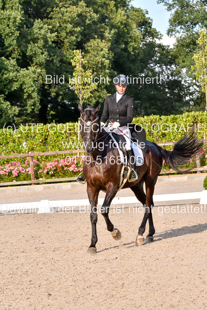 Klein Offenseth Dressur  1.8.2021 | 01082021 Dressur  KL S +_550 