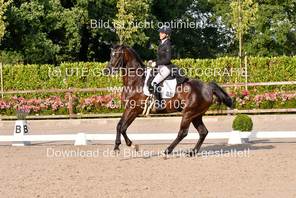 Klein Offenseth Dressur  1.8.2021 | 01082021 Dressur  KL S +_555 