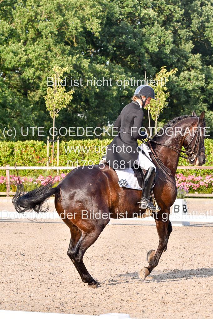 Klein Offenseth Dressur  1.8.2021 | 01082021 Dressur  KL S +_557 