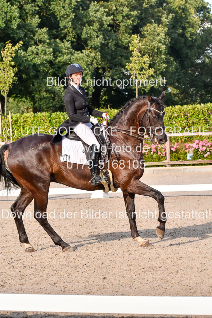 Klein Offenseth Dressur  1.8.2021 | 01082021 Dressur  KL S +_559 