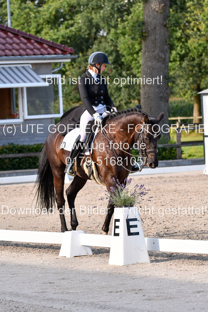 Klein Offenseth Dressur  1.8.2021 | 01082021 Dressur  KL S +_564 
