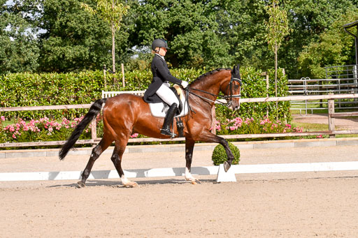 Klein Offenseth Dressur  1.8.2021 | 01082021 Dressur  KL S +_015 