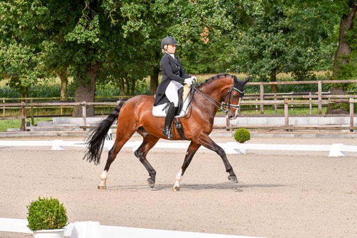 Klein Offenseth Dressur  1.8.2021 | 01082021 Dressur  KL S +_016 