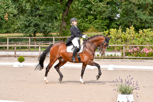 Klein Offenseth Dressur  1.8.2021 | 01082021 Dressur  KL S +_017 