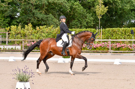 Klein Offenseth Dressur  1.8.2021 | 01082021 Dressur  KL S +_018 