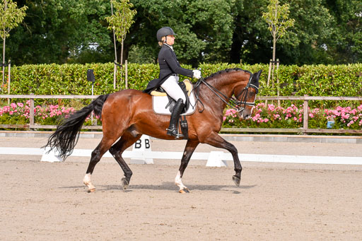 Klein Offenseth Dressur  1.8.2021 | 01082021 Dressur  KL S +_020 