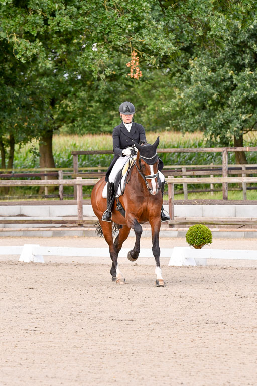 Klein Offenseth Dressur  1.8.2021 | 01082021 Dressur  KL S +_024 