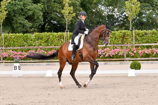 Klein Offenseth Dressur  1.8.2021 | 01082021 Dressur  KL S +_031 