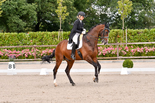 Klein Offenseth Dressur  1.8.2021 | 01082021 Dressur  KL S +_032 