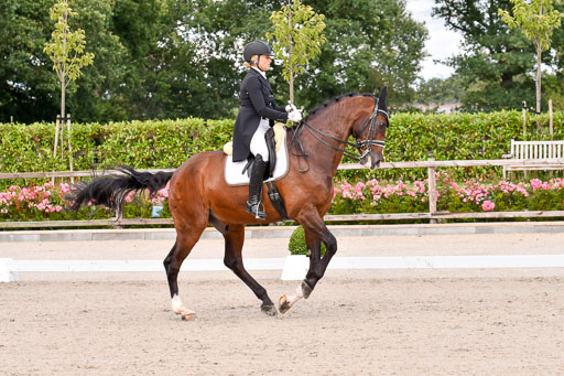 Klein Offenseth Dressur  1.8.2021 | 01082021 Dressur  KL S +_033 