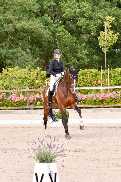 Klein Offenseth Dressur  1.8.2021 | 01082021 Dressur  KL S +_040 