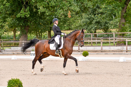 Klein Offenseth Dressur  1.8.2021 | 01082021 Dressur  KL S +_052 