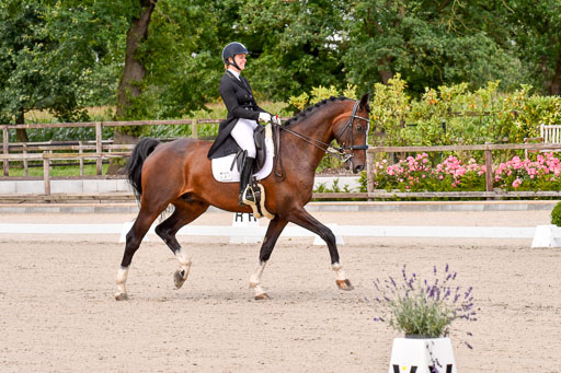 Klein Offenseth Dressur  1.8.2021 | 01082021 Dressur  KL S +_053 