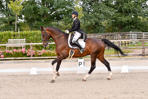 Klein Offenseth Dressur  1.8.2021 | 01082021 Dressur  KL S +_066 