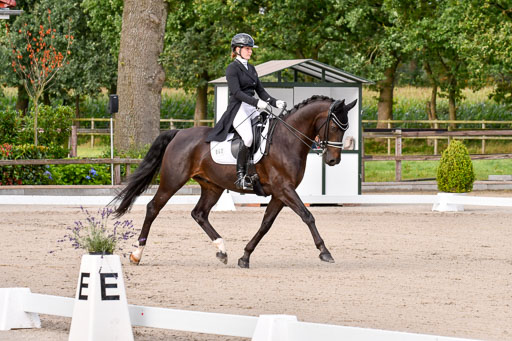 Klein Offenseth Dressur  1.8.2021 | 01082021 Dressur  KL S +_077 