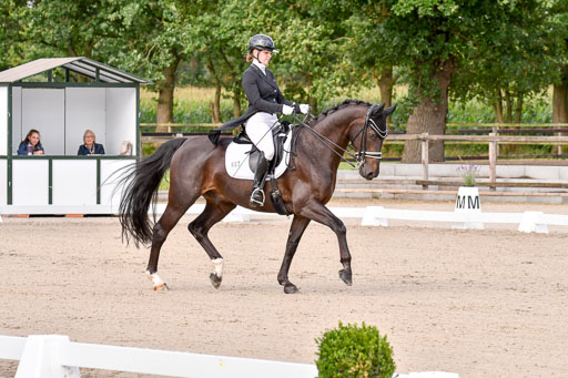 Klein Offenseth Dressur  1.8.2021 | 01082021 Dressur  KL S +_078 