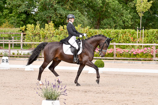 Klein Offenseth Dressur  1.8.2021 | 01082021 Dressur  KL S +_081 