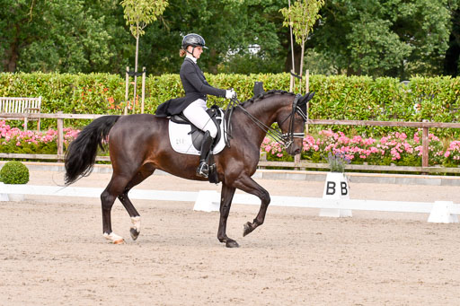 Klein Offenseth Dressur  1.8.2021 | 01082021 Dressur  KL S +_082 