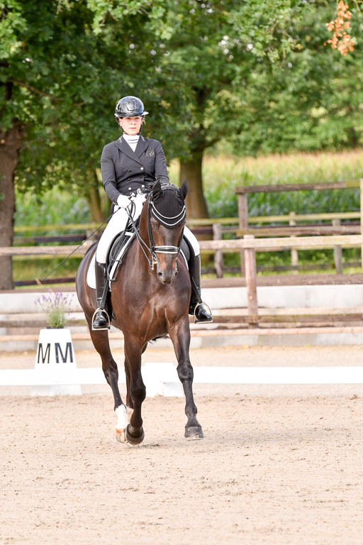 Klein Offenseth Dressur  1.8.2021 | 01082021 Dressur  KL S +_084 