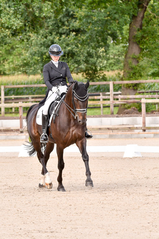 Klein Offenseth Dressur  1.8.2021 | 01082021 Dressur  KL S +_086 