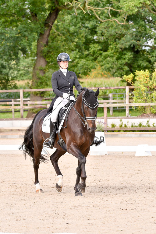 Klein Offenseth Dressur  1.8.2021 | 01082021 Dressur  KL S +_087 