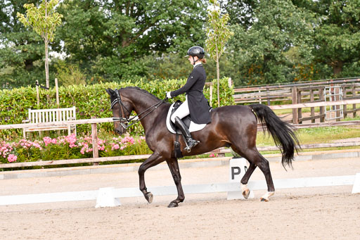 Klein Offenseth Dressur  1.8.2021 | 01082021 Dressur  KL S +_091 