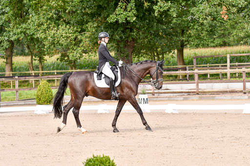 Klein Offenseth Dressur  1.8.2021 | 01082021 Dressur  KL S +_092 