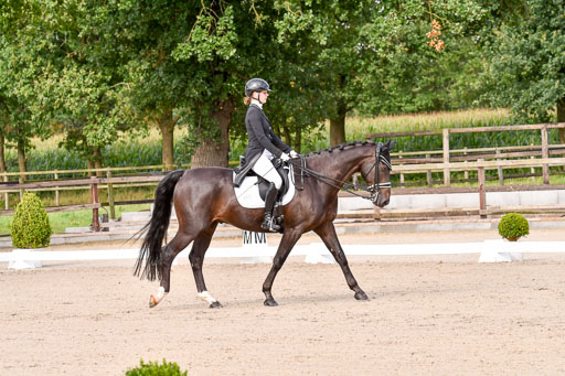 Klein Offenseth Dressur  1.8.2021 | 01082021 Dressur  KL S +_093 