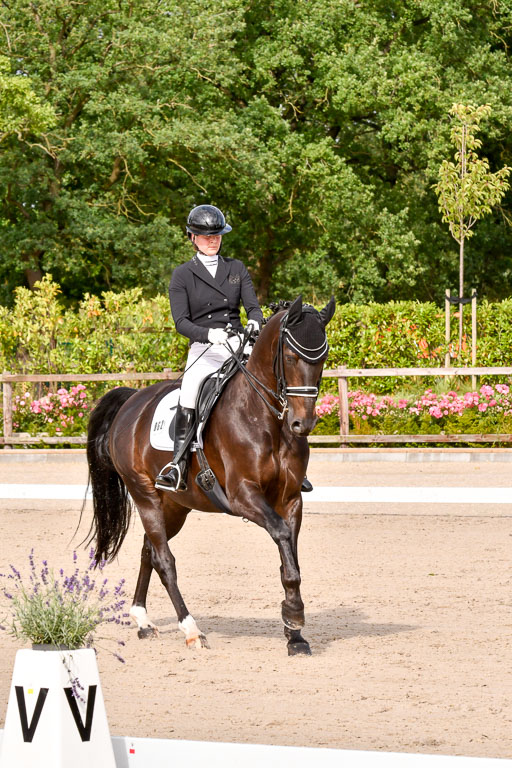 Klein Offenseth Dressur  1.8.2021 | 01082021 Dressur  KL S +_102 