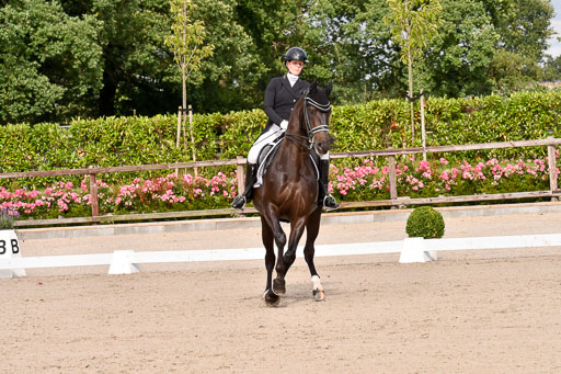 Klein Offenseth Dressur  1.8.2021 | 01082021 Dressur  KL S +_105 