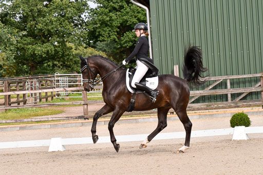 Klein Offenseth Dressur  1.8.2021 | 01082021 Dressur  KL S +_109 