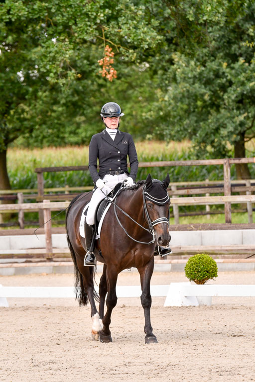 Klein Offenseth Dressur  1.8.2021 | 01082021 Dressur  KL S +_113 