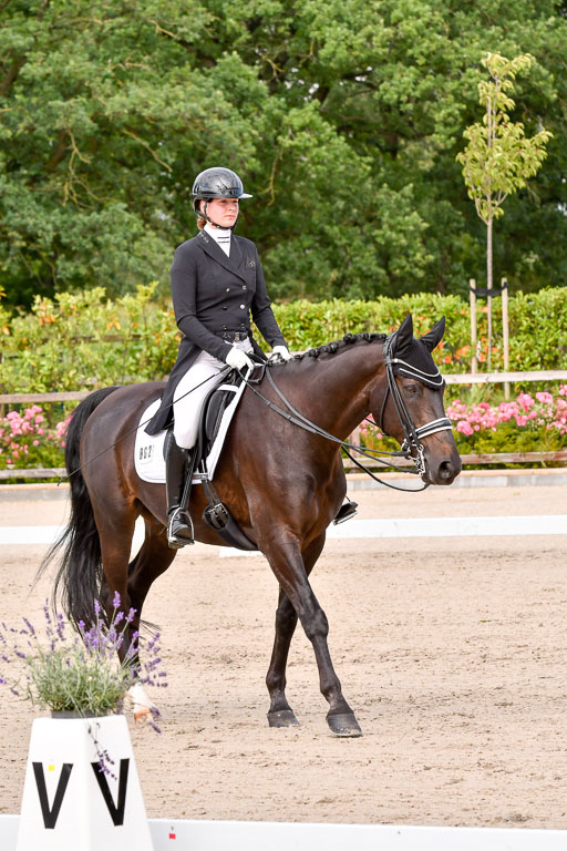 Klein Offenseth Dressur  1.8.2021 | 01082021 Dressur  KL S +_115 